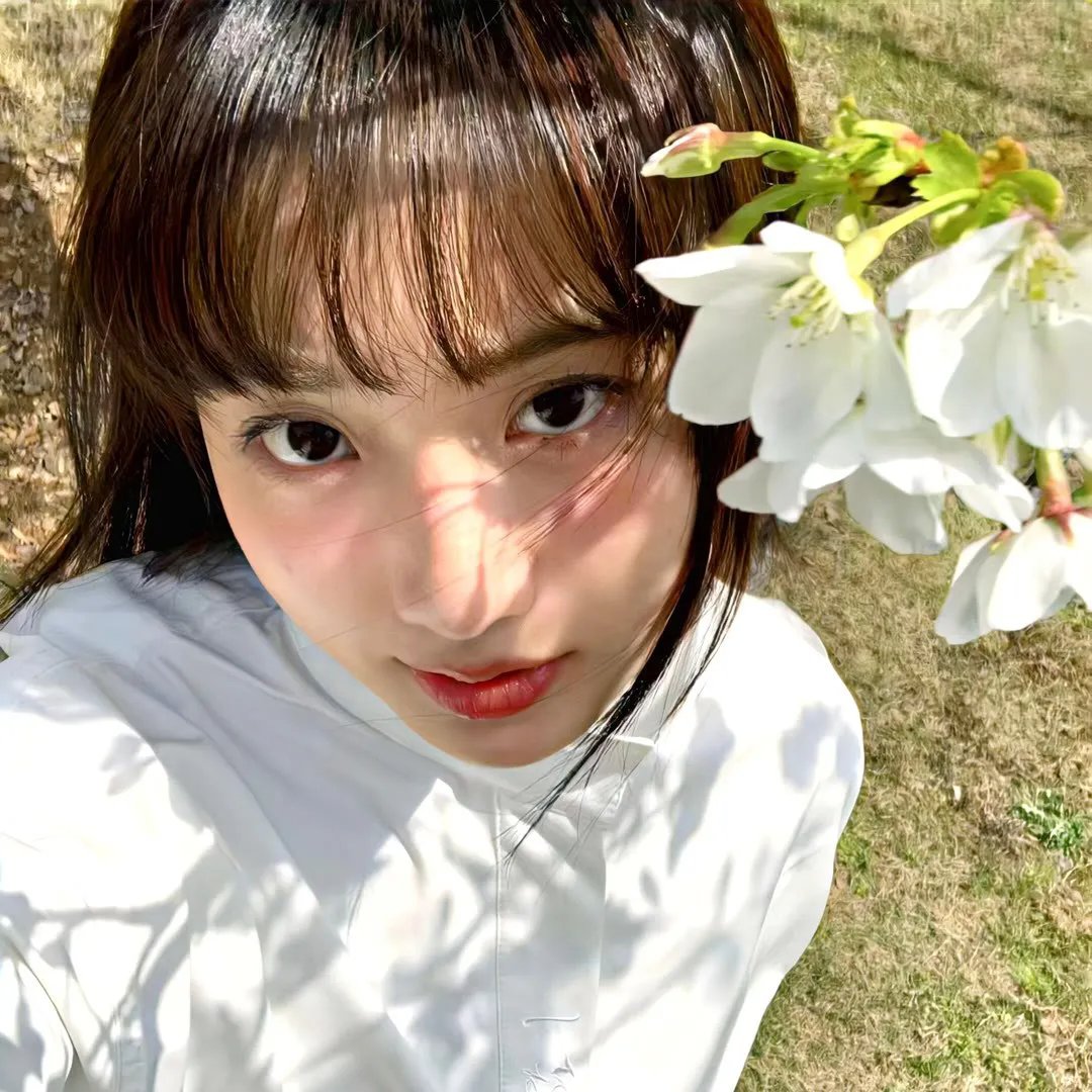 朝花夕拾